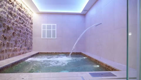 Salotto del Loft SPA con parete in pietra